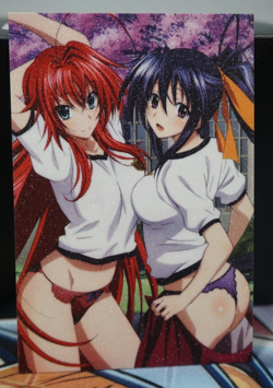 Rias & Akeno High School DxD Sexy Waifu Textured Custom Card - Image 1