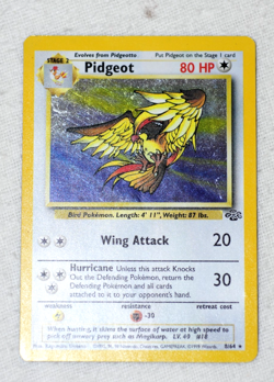 Pokemon Pidgeot 8/64 Holo 1999 Card - Image 1