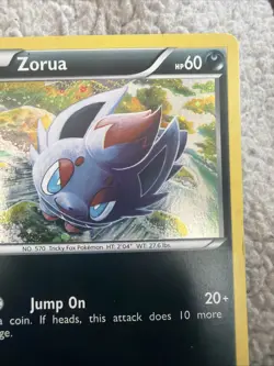 Zorua BW12 - Holo P Black And White Promo Pokemon Holo NM-LP - Image 4