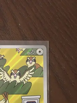 Pokemon TCG Pidgey 207/197 Obsidian Flames Illustration Rare Holo - Image 5