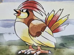 Pokemon Base Set Shadowless Pidgeotto #22/102 MP - Image 4