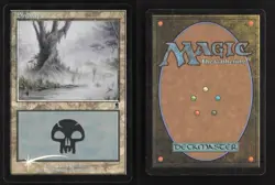Swamp #341 Foil Odyssey LP - MTG - Magic The Gathering - Image 2