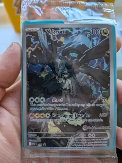 Pokemon TCG N's Zekrom 031 Pokemon Center Promo Ascended Heroes Sealed - Image 2