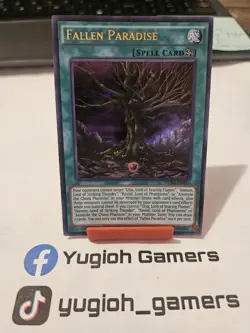 Yu-Gi-Oh Fallen Paradise DUSA 1st Edition Ultra Rare Light Played - Image 1