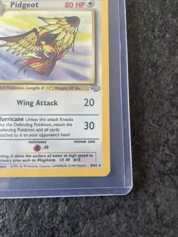 Pokemon TCG Jungle Pidgeot Holo Rare Card 8/64 1999 WOTC Vintage LP/MP - Image 2