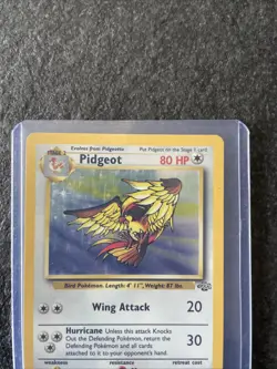 Pokemon TCG Jungle Pidgeot Holo Rare Card 8/64 1999 WOTC Vintage LP/MP - Image 3