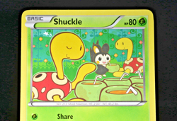 Shuckle 3/113 Uncommon Legendary Treasures Pokemon 2013 - MP/LP - Image 2