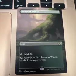 Llanowar Wastes (Borderless) The Brothers' War Regular Mtg - Image 1