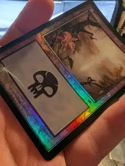 Swamp (341) *Foil* - LP - Onslaught - MTG - Image 3