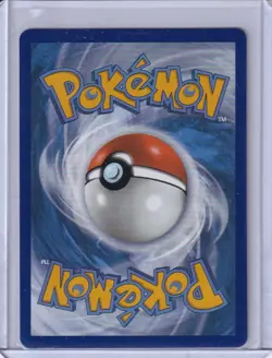 Raihan 202/203 Pokemon Card Full Art Trainer Evolving Skies NM - Image 2