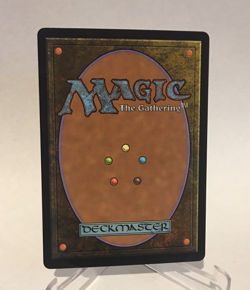 MTG FOIL 317 HEXING SQUELCHER Showcase Lorwyn Eclipsed Pack Fresh - Image 3