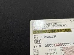 Nami One Piece Driver License Card Japan Luffy Dress Mugiwara member - Image 4