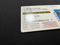 Nami One Piece Driver License Card Japan Luffy Dress Mugiwara member - Image 5