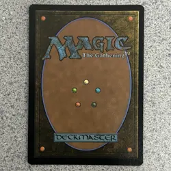 Multiversal Passage 0180 Rare Land EN x Wizards of the Coast MTG NM - Image 4