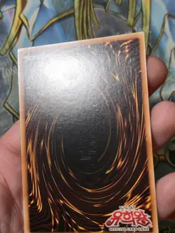 NM YUGIOH Blizzard Dragon KR029 1st Edition PP04 Card Secret Rare NM - Image 5
