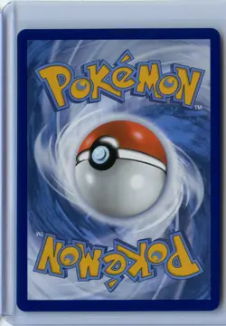 Pokemon Team Rocket's Mewtwo EX Black Star Promo 2025 SVP216 NM - Image 2