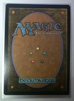 MTG Borderless Poster Foil Tom Bombadil EX/LP+ UB: LotR - nm to vlp - Image 2