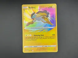 RAIKOU 050/185 VIVID VOLTAGE AMAZING RARE HOLO Pokemon TCG - Image 1