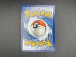RAIKOU 050/185 VIVID VOLTAGE AMAZING RARE HOLO Pokemon TCG - Image 2