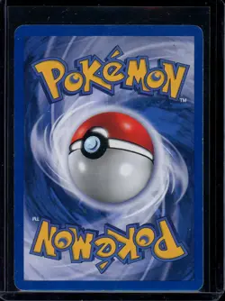 Venusaur Pokemon 2000 WOTC Black Star Promo #13 MP - Image 2