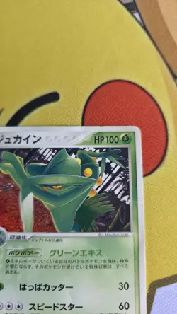 Pokemon Japanese Sceptile Meiji Chocolate (June 2005) Promo 063/PCG-P HP - Image 3