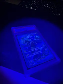 Cynthia's Garchomp ex 232/182 Sv10: Destined Rivals Holo - Image 5