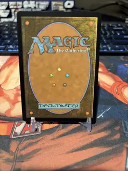 MTG Spiderman Parallel Lives (Borderless) - 36 / English / Reg. - Image 2