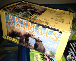100 x Sealed Panini Animals of the World Sticker Packs (Full Box) - Image 2