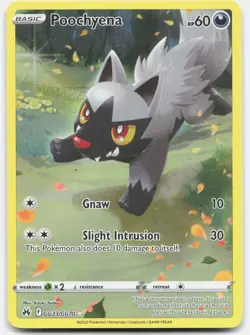 Poochyena - NM - CRZ Crown Zenith Galarian Gallery GG33/GG70 - PKMN Pokemon Card - Image 1