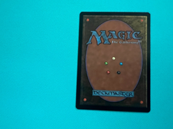 Winter's Grasp - Tempest - MTG - Magic the Gathering - Image 2