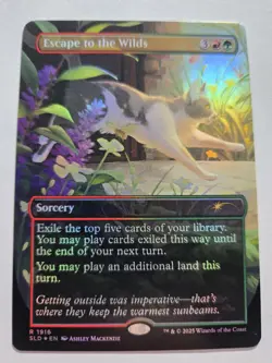 Escape to the Wilds 1916 Secret Lair Drop Cats Are Better Than Dogs Non Foil MTG - Image 1