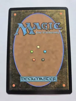 Escape to the Wilds 1916 Secret Lair Drop Cats Are Better Than Dogs Non Foil MTG - Image 2