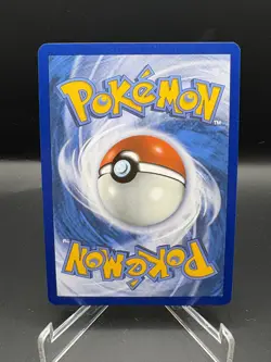 Dachsbun EX Card 160/142 Pokemon TCG Stellar Crown Ultra Rare English NM - Image 2