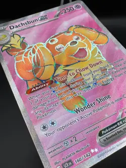 Dachsbun EX Card 160/142 Pokemon TCG Stellar Crown Ultra Rare English NM - Image 3