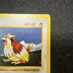 1st Edition Pidgey 057/102 Base Set (Shadowless) Regular - Image 3