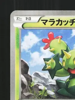 Maractus 010/080 1st ED LP Wild Blaze Japanese Pokemon Card TCG - Image 4