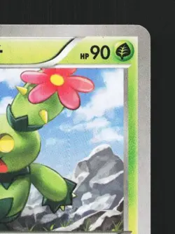 Maractus 010/080 1st ED LP Wild Blaze Japanese Pokemon Card TCG - Image 5
