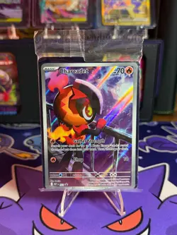 Pokemon TCG Charcadet 022 Phantasmal Flames Black Star Promo (SEALED) - Image 1