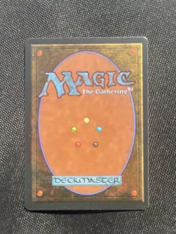 MTG Nature's Lore (Ice Age)! (LP) - Image 2