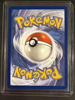 Litten 044 Holo Promo ME: Mega Evolution Promo Pokemon Near Mint - Image 2