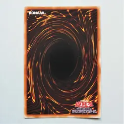 Yu-Gi-Oh yugioh Black Rose Dragon DT04-JPB01 Ultra Parallel NM Japanese a184 - Image 3