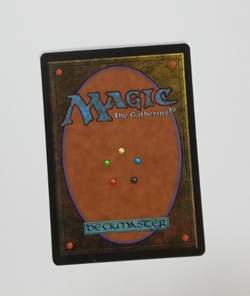 Tormod's Crypt The Dark LP+ Magic the Gathering Card - Image 2