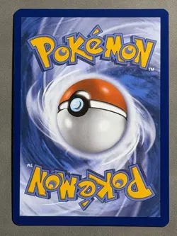 Furret 168/159 (JTG) Journey Together NM Illustration Rare Pokemon Card - Image 2