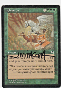 Magic the Gathering ~ Overrun ~ MP ~ Tempest ~ Signed by Artist #10 - Image 1