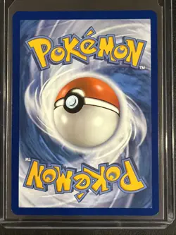 Popplio 045 Holo Promo ME: Mega Evolution Promo Pokemon Near Mint - Image 2