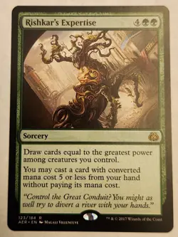 Rishkar's Expertise AER #123 Rare Regular NM+ - Image 1