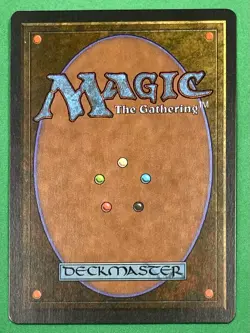 Magic: The Gathering Homelands MTG CCG DIDGERIDOO Artifact Melissa Benson NM - Image 4