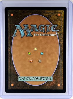 2024 MTG Magic the Gathering SLD Secret Lair Drop Poster Foil #802 Haystack LP - Image 2