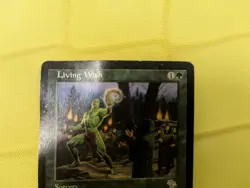 Living Wish Judgment HEAVILY PLD Green Rare MAGIC THE GATHERING CARD HP MTG - Image 4