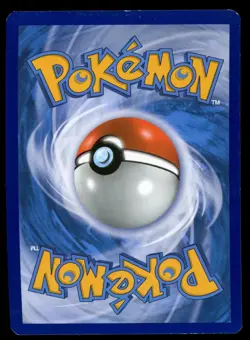 MAGIKARP & WAILORD GX 2019 Pokemon Sun & Moon TAG TEAM #SM166 Black Star Promo - Image 2